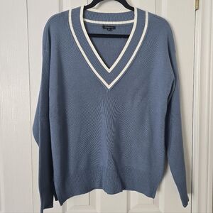 Dynamite Womens Blue V-Neck Sweater